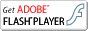 �ŐV�ŃA�h�r�E�t���b�V���v���C���[